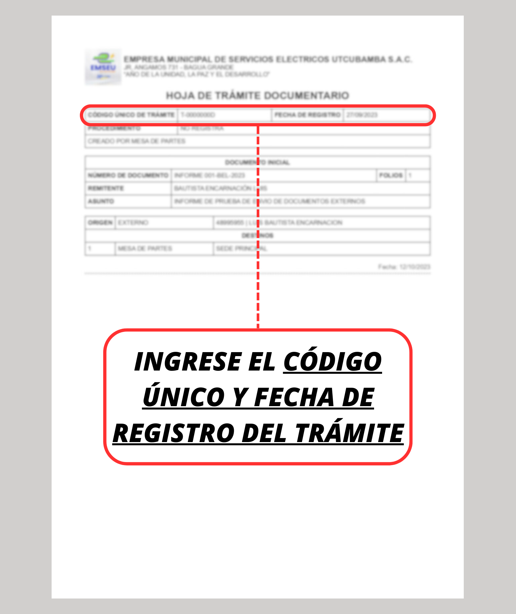 Guía de consulta de trámite